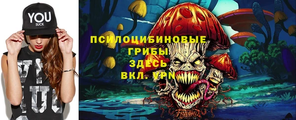 ECSTASY Алексеевка
