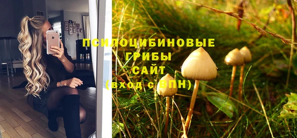 амф Алексин