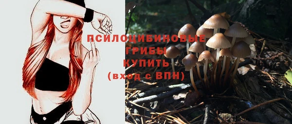 трава Абинск