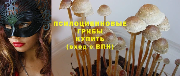 бошки Алзамай