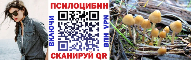 Галлюциногенные грибы Magic Shrooms Старая Русса