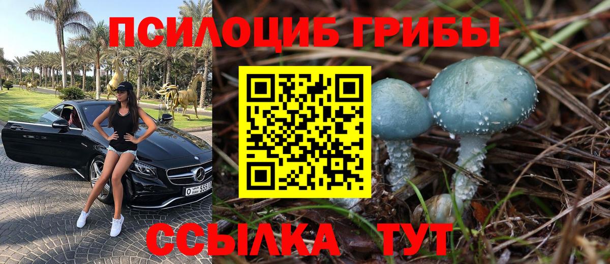 что такое наркотик  Псилоцибиновые грибы GOLDEN TEACHER  Вход с VPN  Старая Русса 